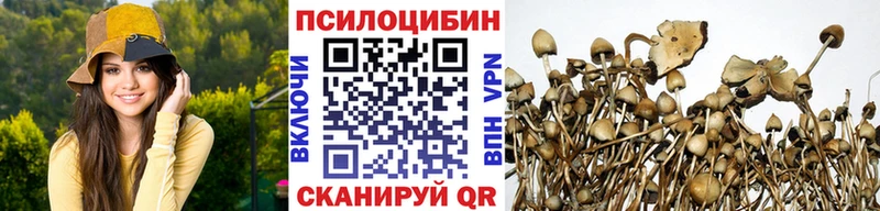 продажа наркотиков  Питкяранта  Галлюциногенные грибы прущие грибы 